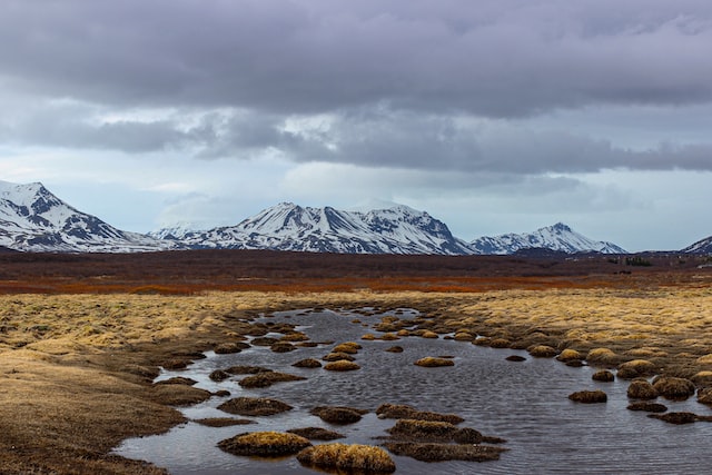 Арктика олохтоохторун ортолоругар хоту экологическай быһыы- майгы туһунан боппуруоһу ыыттылар