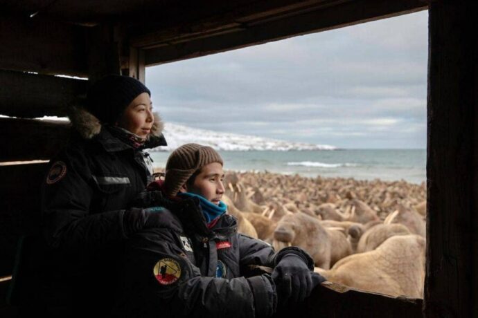 Саха сириттэн төрүттээх Арбугаевтар киинэлэрэ «Оскар» киинэ бириэмийэҕэ номинацияланна