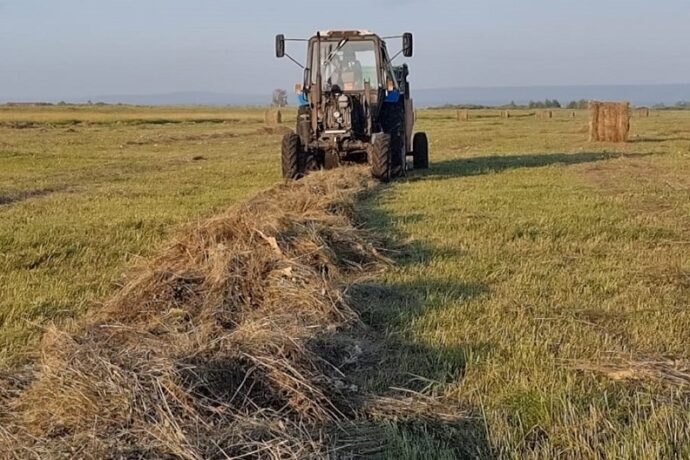 Улуус бааһынай хаһаайыстыбалара былааннарын 99, 2 бырыһыаҥҥа тириэртилэр