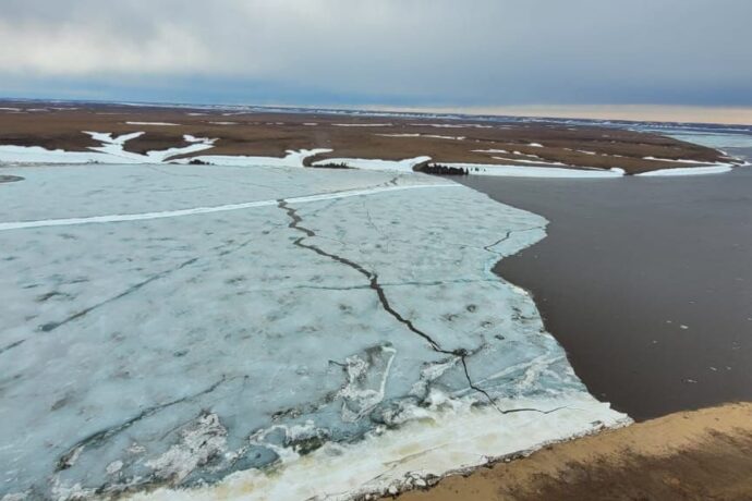 Сааскылаахха 11 тиэргэн ууттан босхолонно