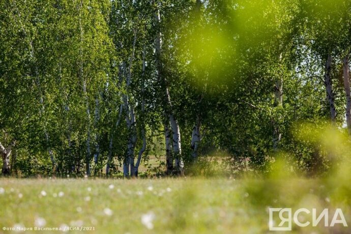 От ыйын 12 күнэ – Окко киирии. Бөтүрүөп таҥара күнэ
