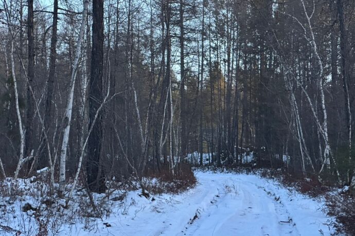 Сулустар кэпсииллэр. Алтынньы 1 күнэ