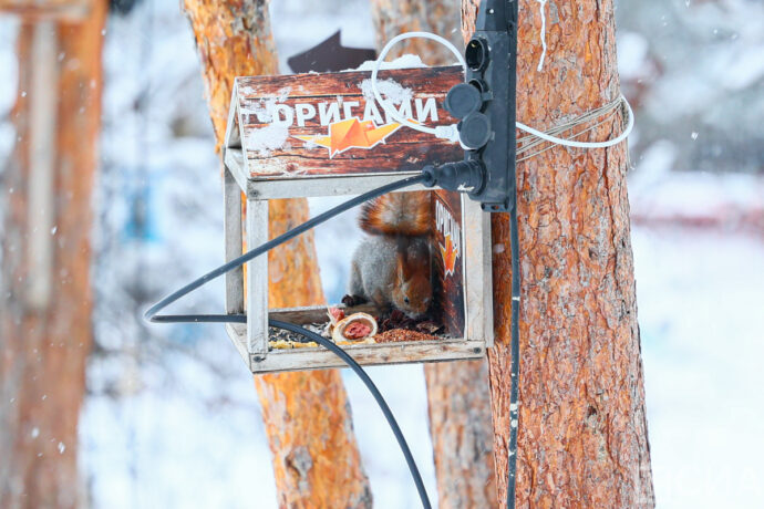 Синоптиктар Дьокуускайга уонна сорох улуустарга сылыйарын эттилэр