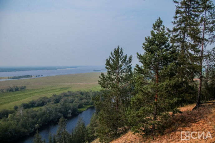 Саха сиригэр баар ойуур баһаара барыта бохсулунна