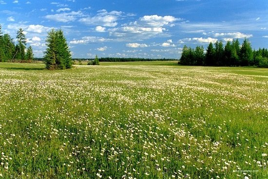 Бааһынай хаһаайыстыба сир учаастагын докумуоннатарыгар чэпчэтии көрүлүннэ