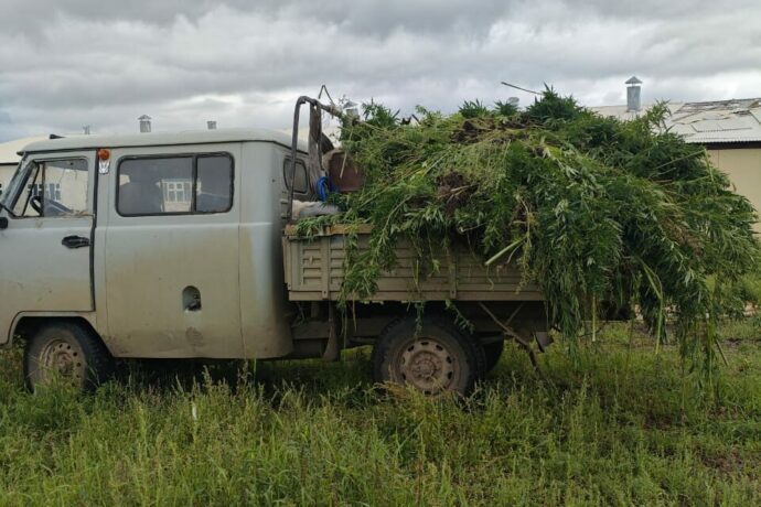 1,8 туонна дьиикэй көнөпүлэни Саха сиригэр суох оҥордулар