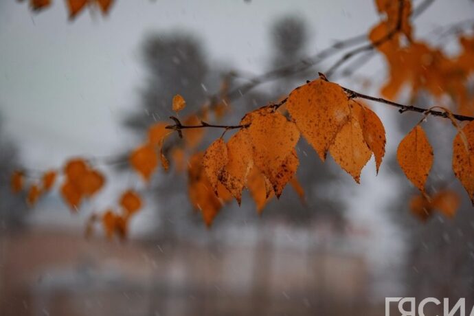 Бүгүн күүстээх тыал, ардах, хаар түһүөҕэ