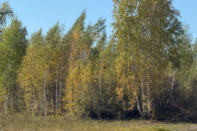 Сулустар кэпсииллэр. Балаҕан ыйын 8 күнэ
