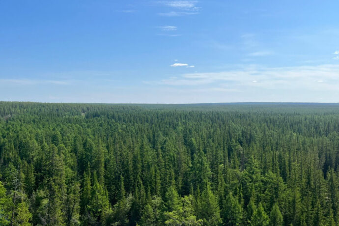 Саха сирэ 2025 сылга ойууру чөлүгэр түһэрии былаанын аһара толордо