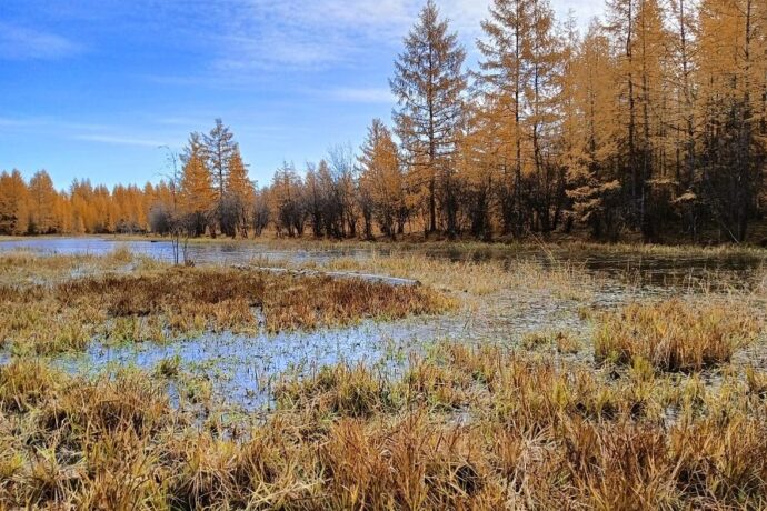 Алтынньыга +15 кыраадыс сылыйар диэн иһитиннэрдилэр