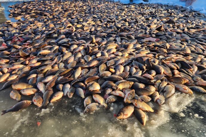 Саха сиригэр муҥха үгэнэ