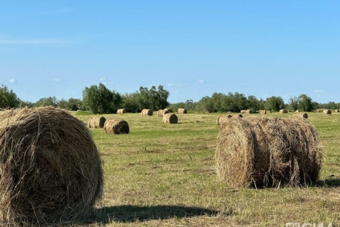 Саха сиригэр сүөһү аһылыгын бэлэмниир үлэ уонна хомуур хампаанньатын барыллаан түмүгүн таһаардылар