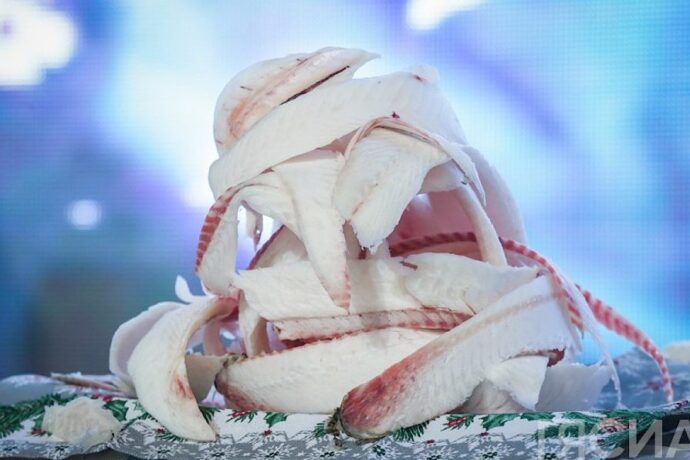 «Тоҥ балык» бырааһынньыга буолуоҕа