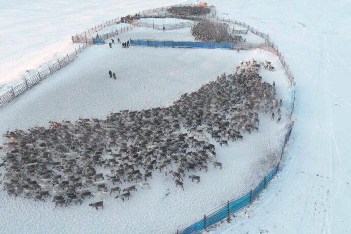 Саха сиригэр дьиэ табатын күһүҥҥү ааҕыыта ыытыллар