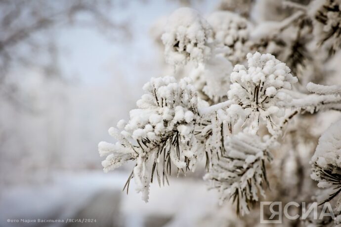Тохсунньу 14 күнүгэр Саха сиригэр күн-дьыл туруга