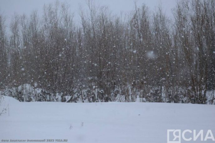 Бүгүн Саха сирин киин өттүгэр -2 кыраадыс буолара күүтүллэр