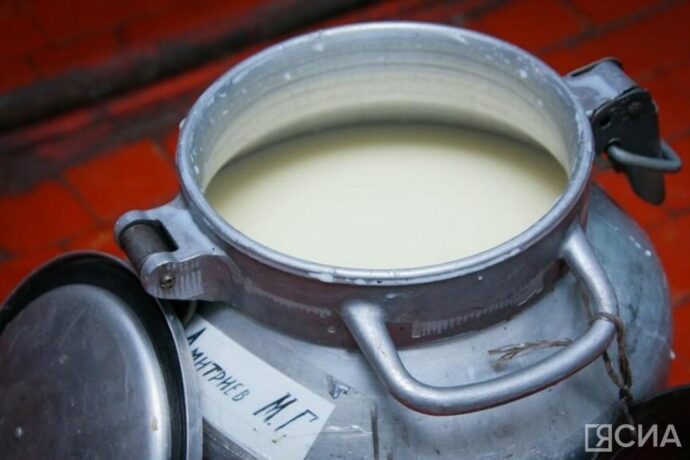 Саха сиригэр үүтү оҥорон таһаарааччыларга кулун тутар 13 күнүгэр диэри субсидияны ыытыахтара