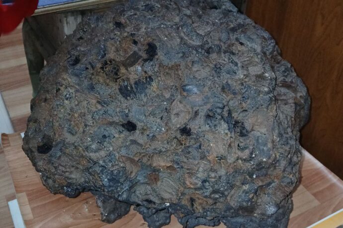 "Билим": Сахаларга тимири уһаарыы ньымаларын туһунан Егор Тумусов суруйда