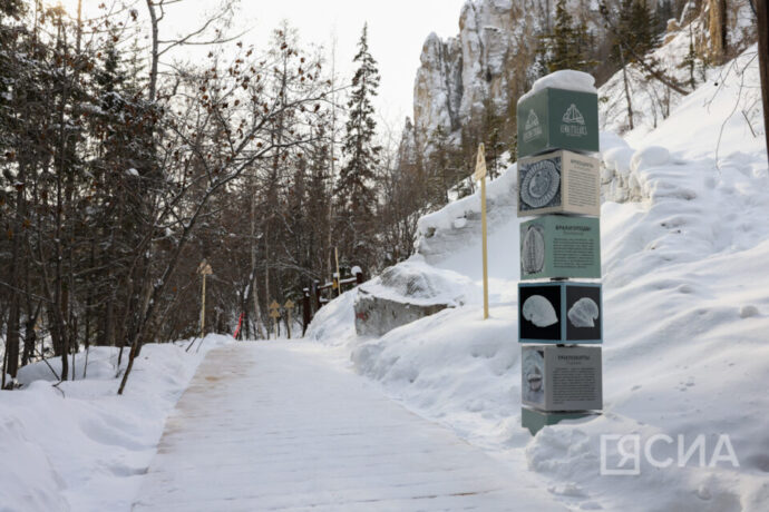 Саха сиригэр "Өлүөнэ остуолбаларыгар" виртуальнай туур-айан баар буолла