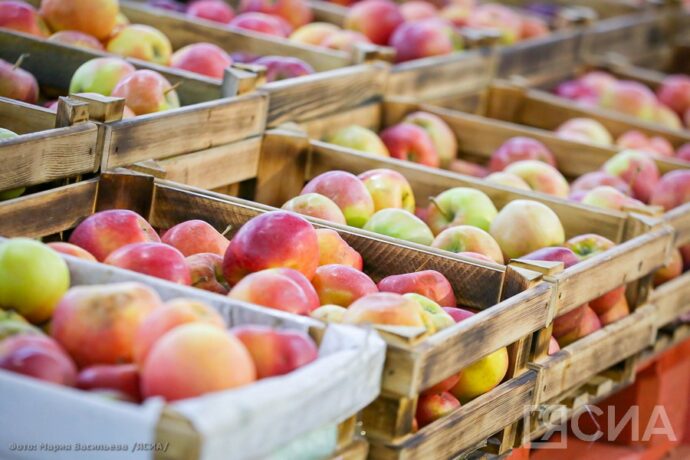 Арассыыйаҕа бэс ыйын 1 күнүттэн сибиэһэй фруктаҕа саҥа ГОСТ киллэриэхтэрэ