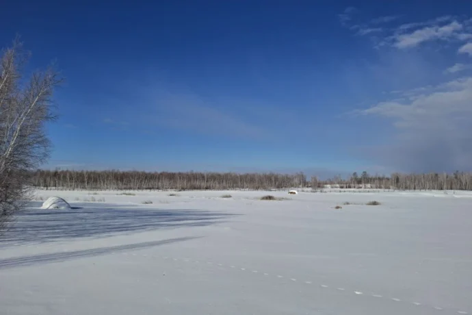 Айылҕа оҕото суолун ыраас хаарга хаалларбыт (видео)