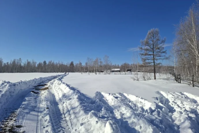 Сулустар кэпсииллэр. Кулун тутар 30 күнэ