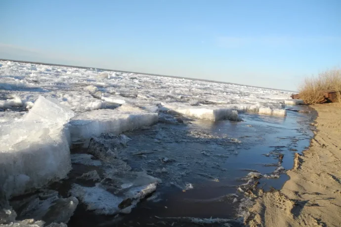 Кытыл-дьураалар халааҥҥа бэлэмнэнэллэр
