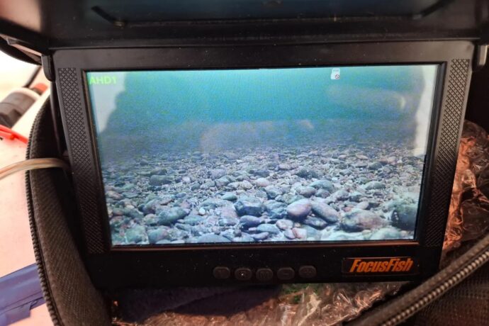 Аныгы дьон уу аннын көрөн олорон балыктыыллар