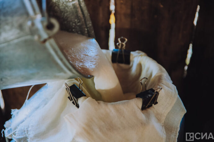 Быйыл Саха сиригэр 63 тыһыынча туоннаттан итэҕэһэ суох үүтү бэлэмниир соруктаахтар