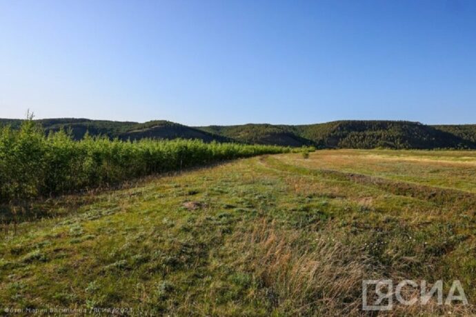 «Гектар» бырагырааманан үс ый иһигэр Арассыыйаҕа 6000 кэриҥэ киһи сир ылла