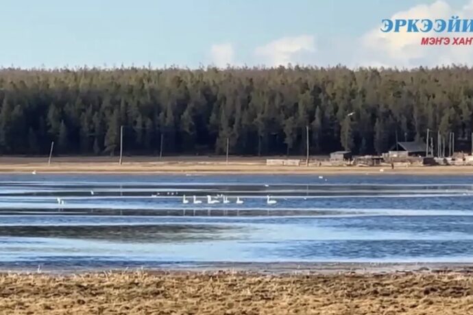 Бөкө эбэтигэр кубалар хоҥкунас куоластарын иһитиннэрэн аастылар