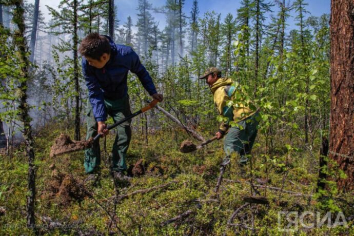 Саха сиригэр уон аҕыс ойуур баһаара ааспыт сууккаҕа умуруорулунна