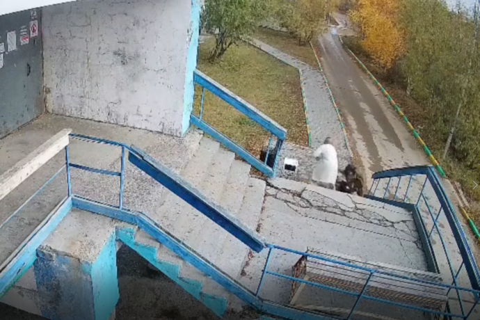 Дьокуускайга дьиэттэн тахсан иһэр уол оҕоҕо ыт саба түстэ