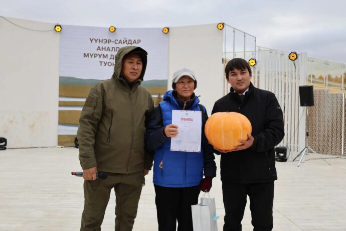 Мүрүгэ "Саамай, саамай" бөдөҥ оҕуруот аһыгар күрэс буолла