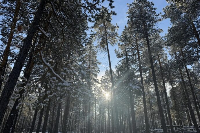 Сулустар кэпсииллэр. Алтынньы 30 күнэ